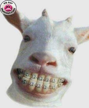 llll